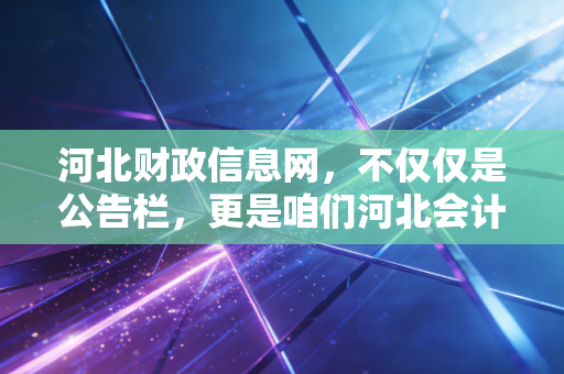河北财政信息网，不仅仅是公告栏，更是咱们河北会计人的生存指南