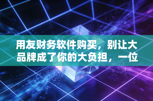 用友财务软件购买，别让大品牌成了你的大负担，一位注会老兵的实战避坑指南