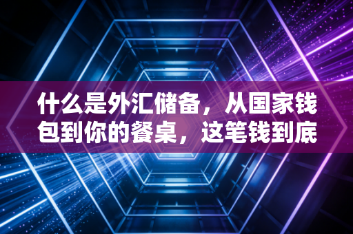 什么是外汇储备，从国家钱包到你的餐桌，这笔钱到底怎么用？