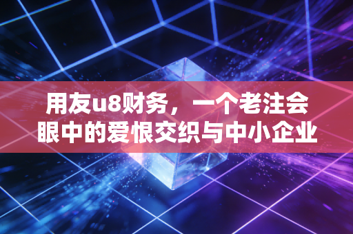 用友u8财务,一个老注会眼中的爱恨交织与中小企业数字化生存实录