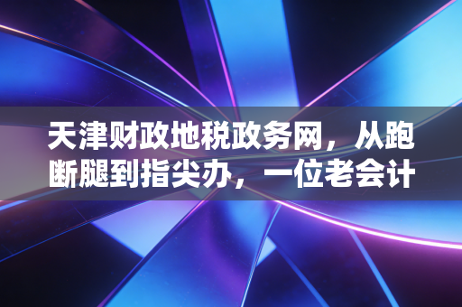 天津财政地税政务网,从跑断腿到指尖办,一位老会计眼中的税务数字化变迁