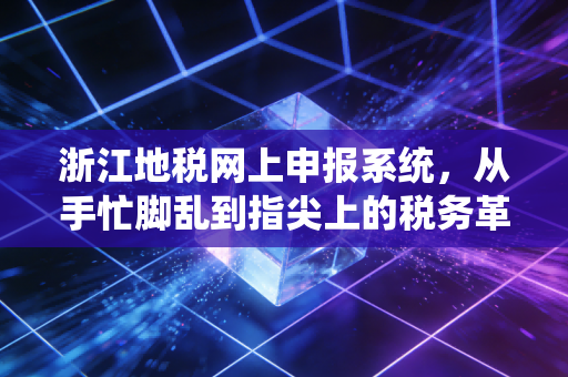 浙江地税网上申报系统,从手忙脚乱到指尖上的税务革命,一位老会计的真实感悟