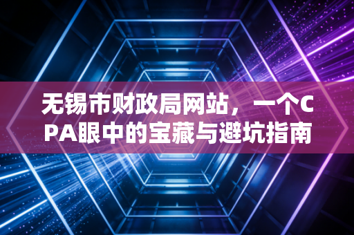 无锡市财政局网站,一个CPA眼中的宝藏与避坑指南