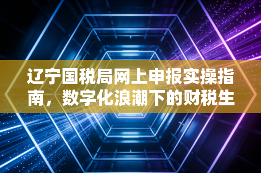 辽宁国税局网上申报实操指南,数字化浪潮下的财税生存法则