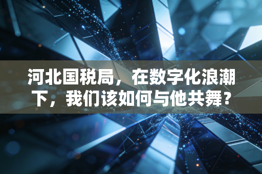 河北国税局,在数字化浪潮下,我们该如何与他共舞?
