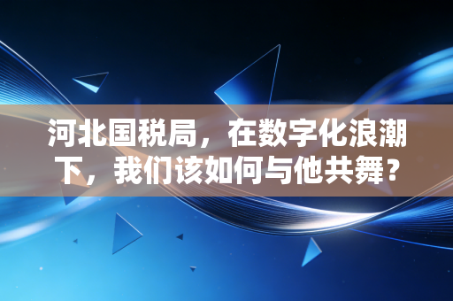 河北国税局,在数字化浪潮下,我们该如何与他共舞?