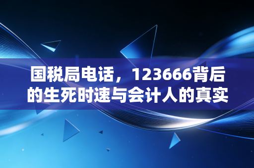 国税局电话,123666背后的生死时速与会计人的真实江湖