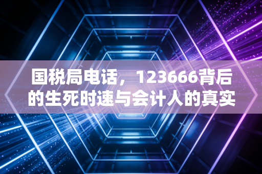 国税局电话,123666背后的生死时速与会计人的真实江湖