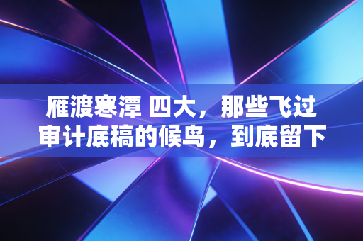 雁渡寒潭 四大,那些飞过审计底稿的候鸟,到底留下了什么?