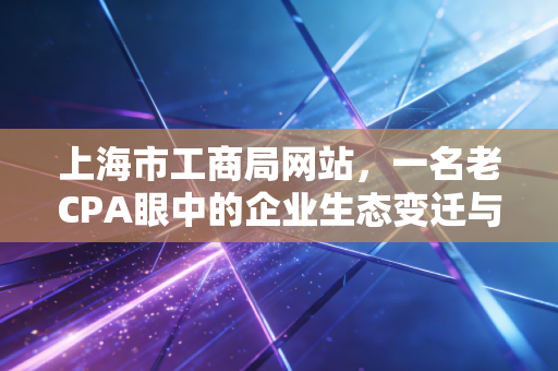 上海市工商局网站,一名老CPA眼中的企业生态变迁与办事江湖