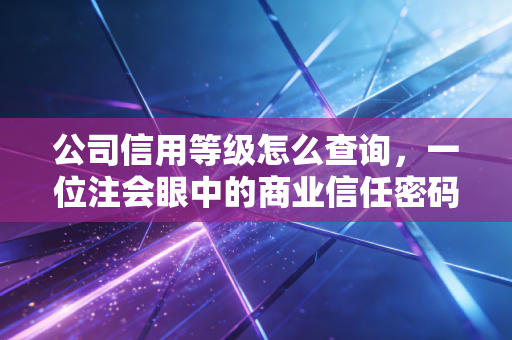 公司信用等级怎么查询,一位注会眼中的商业信任密码与避坑指南