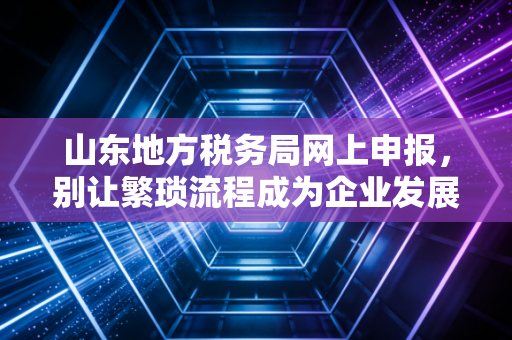 山东地方税务局网上申报,别让繁琐流程成为企业发展的绊脚石,一位老会计的真心话