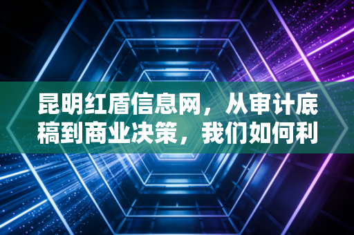 昆明红盾信息网,从审计底稿到商业决策,我们如何利用这座数据金矿