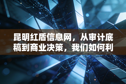 昆明红盾信息网，从审计底稿到商业决策，我们如何利用这座数据金矿