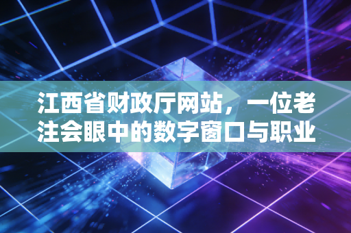 江西省财政厅网站,一位老注会眼中的数字窗口与职业灯塔