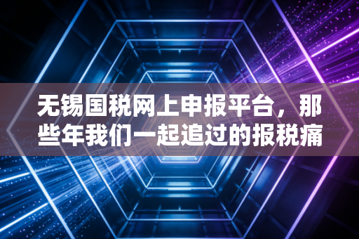 无锡国税网上申报平台，那些年我们一起追过的报税痛与数字化红利