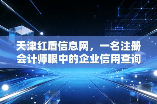 天津红盾信息网,一名注册会计师眼中的企业信用查询与审计实务变迁