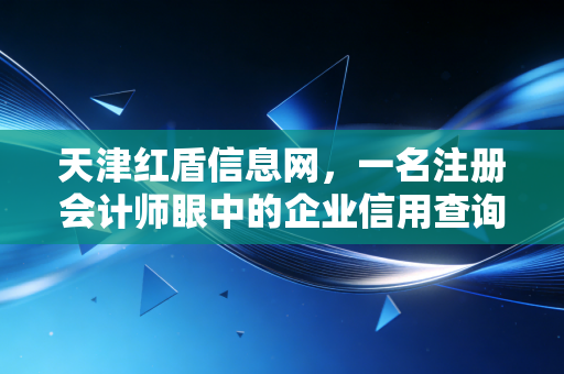 天津红盾信息网,一名注册会计师眼中的企业信用查询与审计实务变迁