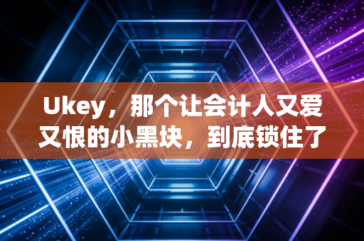 Ukey,那个让会计人又爱又恨的小黑块,到底锁住了什么?