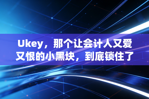 Ukey,那个让会计人又爱又恨的小黑块,到底锁住了什么?