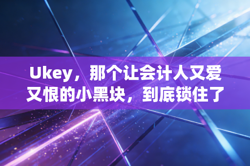 Ukey，那个让会计人又爱又恨的小黑块，到底锁住了什么？