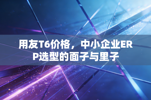 用友T6价格,中小企业ERP选型的面子与里子