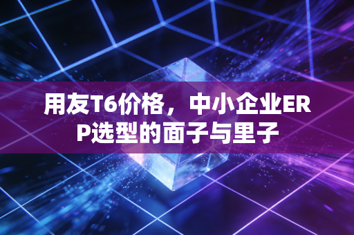 用友T6价格，中小企业ERP选型的面子与里子