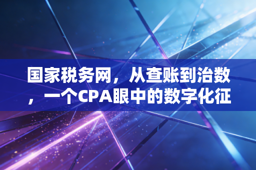 国家税务网，从查账到治数，一个CPA眼中的数字化征管变革