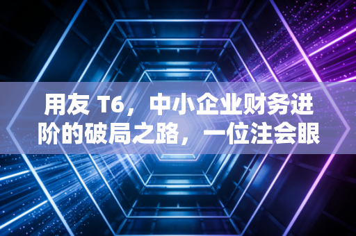 用友 T6，中小企业财务进阶的破局之路，一位注会眼中的管理变革