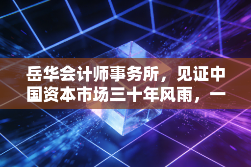 岳华会计师事务所，见证中国资本市场三十年风雨，一位老注会的深情回眸