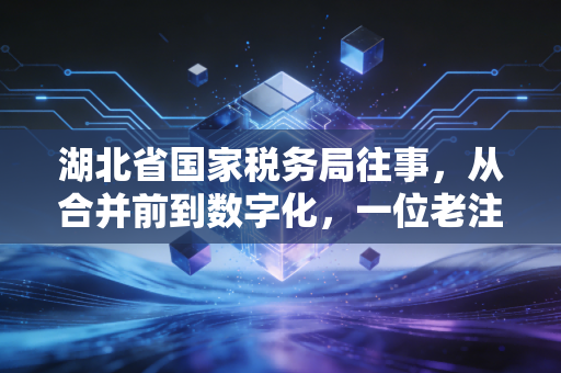 湖北省国家税务局往事，从合并前到数字化，一位老注会的湖北税务观察