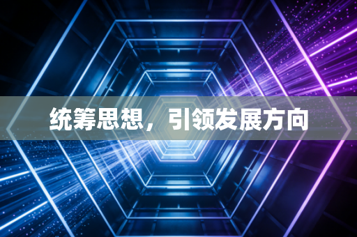 统筹思想,引领发展方向