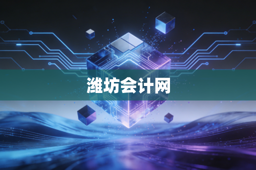 潍坊会计网
