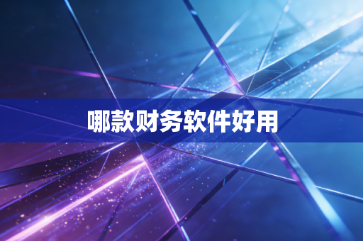 哪款财务软件好用