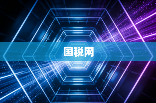 国税网