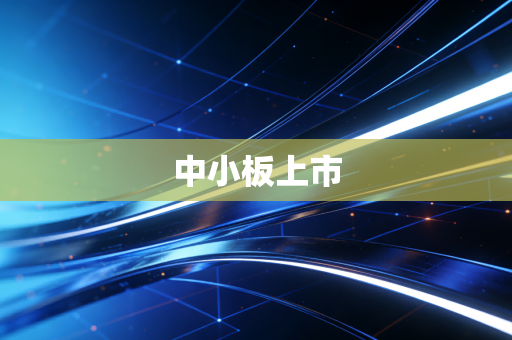 中小板上市