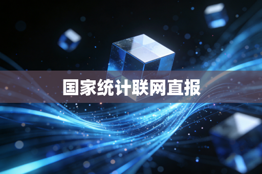 国家统计联网直报