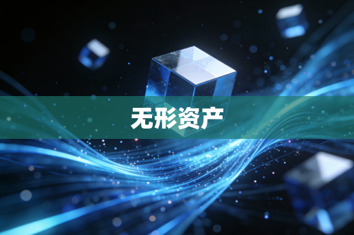 无形资产