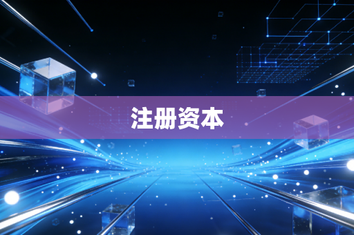 注册资本