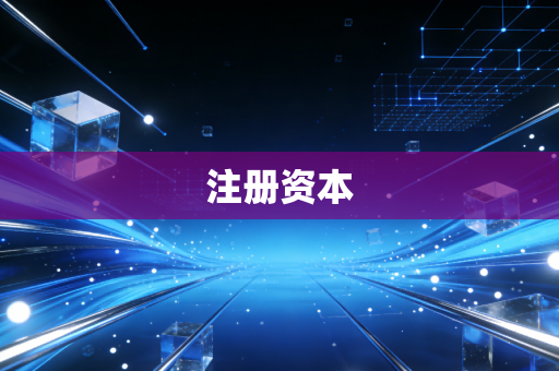 注册资本