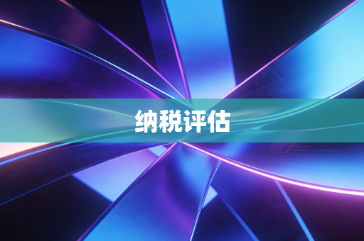 纳税评估