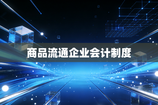 商品流通企业会计制度