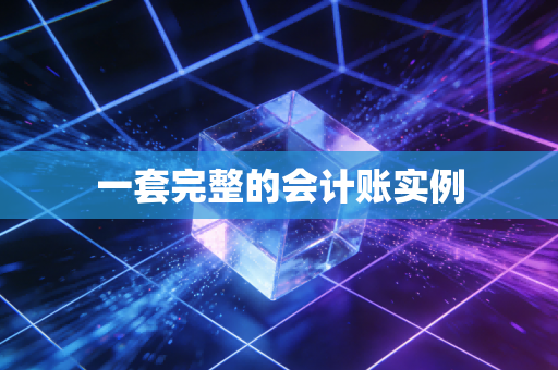 一套完整的会计账实例