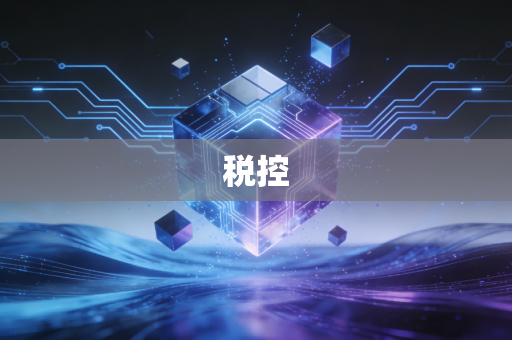 税控