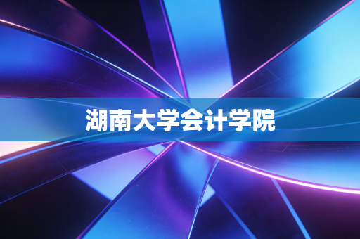 湖南大学会计学院