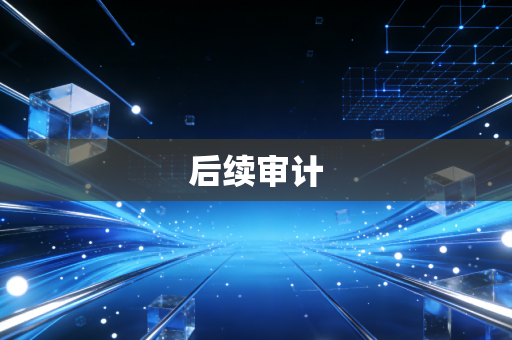 后续审计