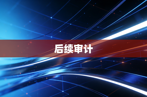 后续审计