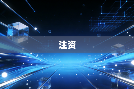 注资