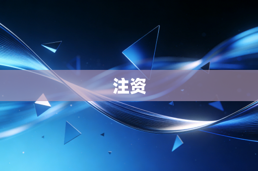 注资