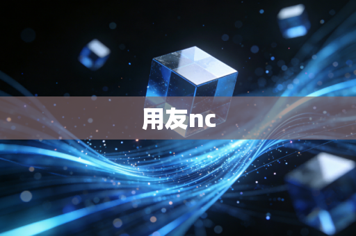 用友nc